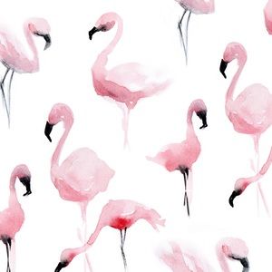 Meet your Posher, Ann